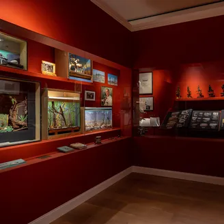 Bigelow & Howes: Guide for the Curious