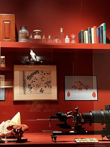 Bigelow & Howes: Guide for the Curious