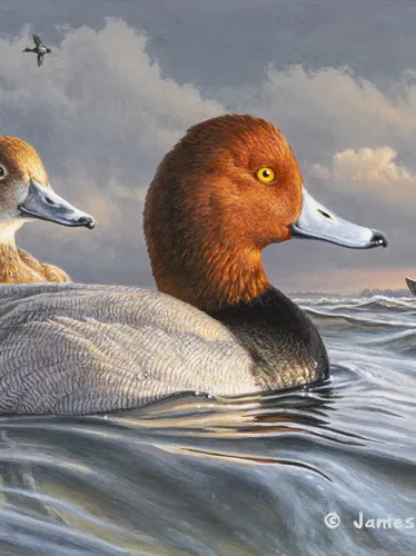 James Hautman, Redheads, 2022