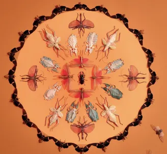 Jennifer Angus: The Golden Hour - Bruce Presents