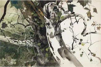 Andrew Wyeth, Buttonwood, Study for The Hunter